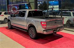 فۆرد F-150